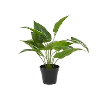Green Plastic Traditional Artificial Foliage, 17" x 21" x 17"