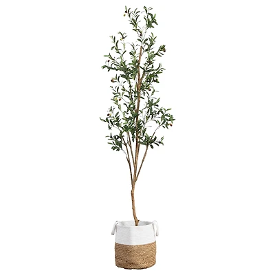 7ft. Olive Tree with Natural Trunk in Handmade Jute Basket