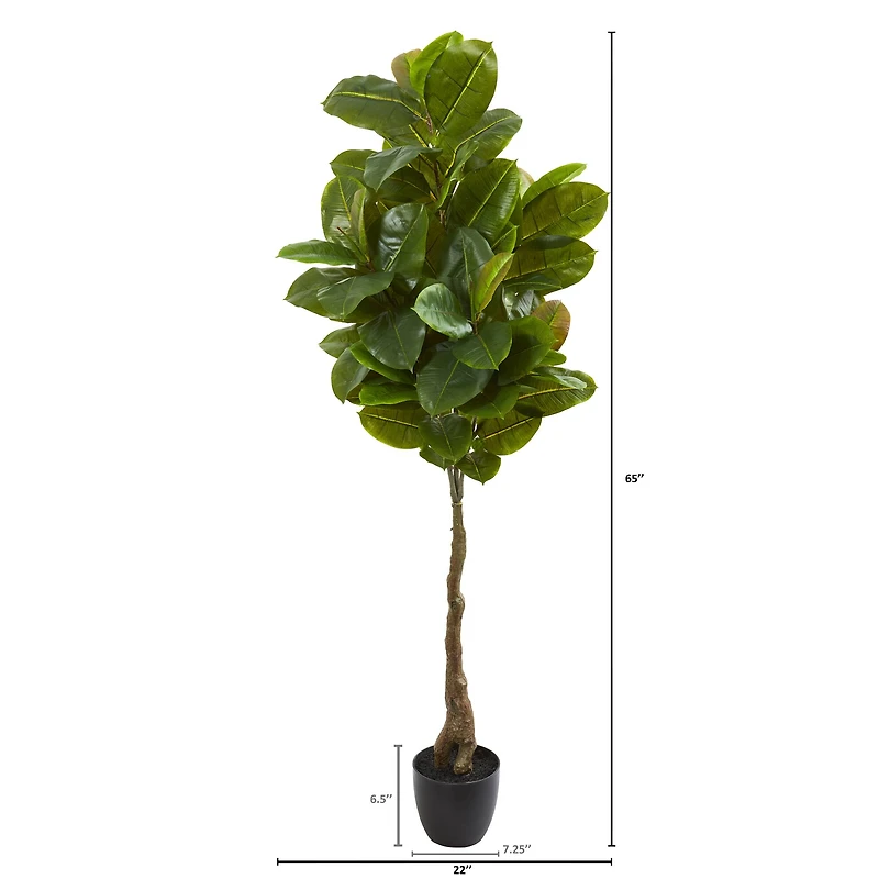 5.5ft. Potted Rubber Leaf Tree