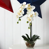 18" White Orchid Arrangement in Glass Vase