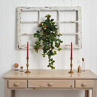31” Strawberry Hanging Bush, 2ct.