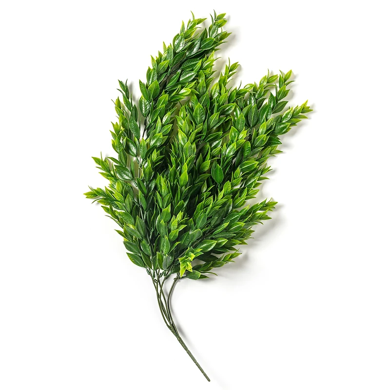 Hanging Ruscus Bush by Ashland®