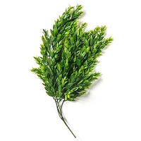 Hanging Ruscus Bush by Ashland®