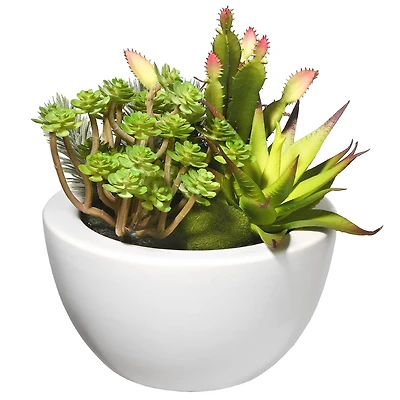 7.5" Succulent Plants in White Planter