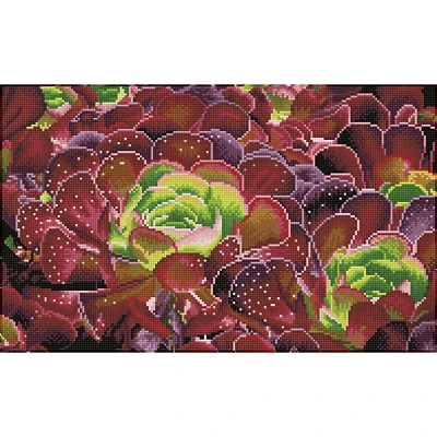 Diamond Dotz® Squares Intermediate Succulents Diamond Facet Art Kit