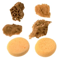 12 Packs: 6 ct. (72 total) Royal & Langnickel® Natural & Synthetic Artist Sponges