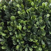 Boxwood UV Resistant Kissing Ball by Ashland