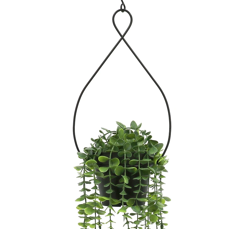 27" Dripping Eucalyptus Hanging Potted Plant by Ashland®