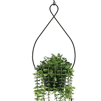 27" Dripping Eucalyptus Hanging Potted Plant by Ashland®