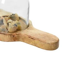 Hello Honey® Mango Wood Serving Tray with 3 Glass Cloches Set