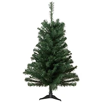 2ft. Unlit Blackwater Fir Artificial Christmas Tree