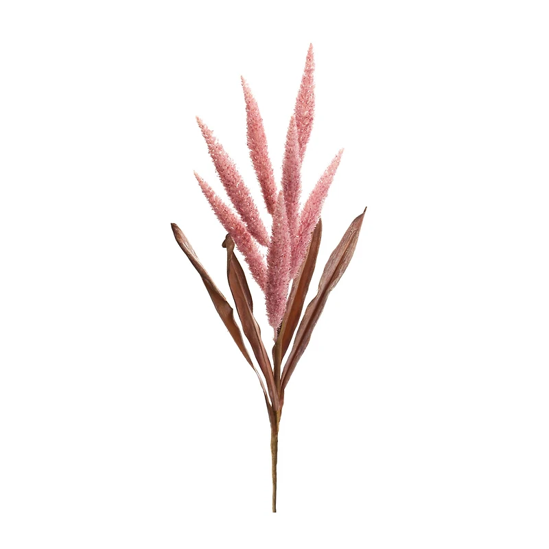 35.5" Dark Pink Foxtail Plume Stems, 2ct.