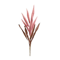 35.5" Dark Pink Foxtail Plume Stems, 2ct.