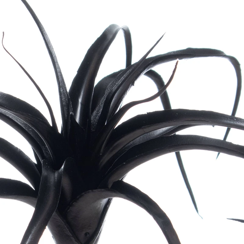 10" Black Tillandsia Pick by Ashland®