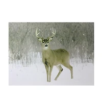 Fiber Optic Majestic Buck Canvas Wall Art