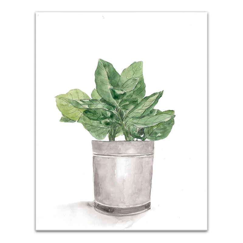 Bucket of Basil  11" x 14" Canvas Wall Art