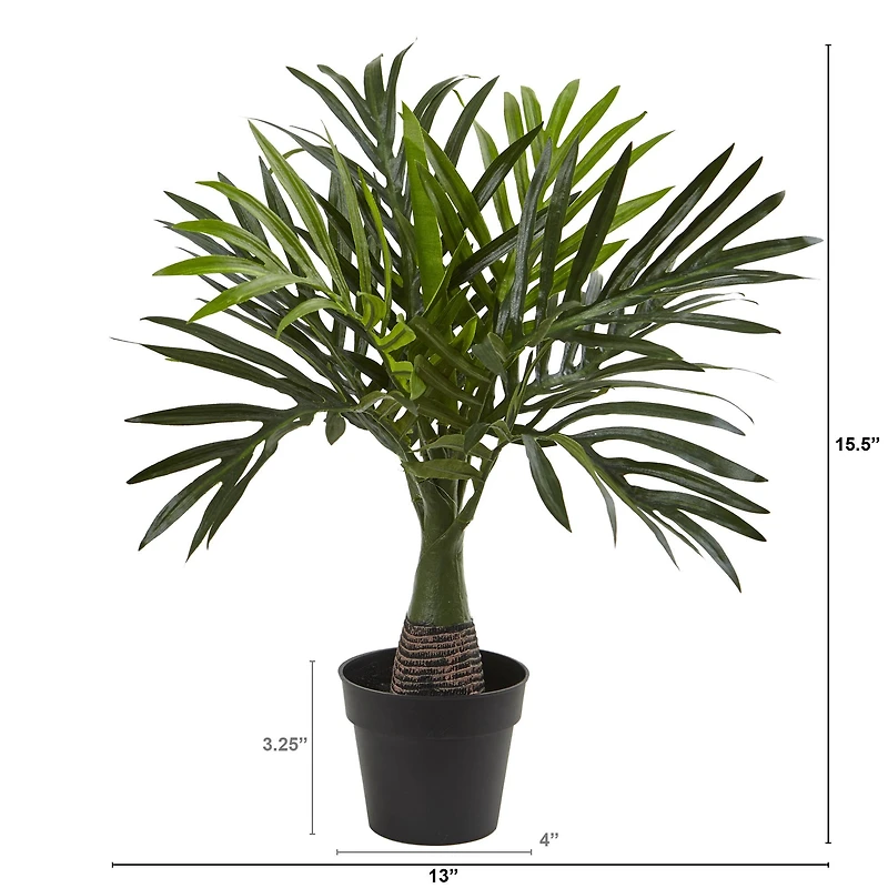 15.5" Potted Mini Areca Palm Plant