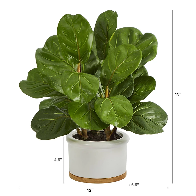 15" Fiddle Leaf Tree in White Planter