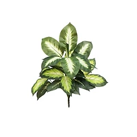 20" Artificial Golden Dieffenbachia Plant, 6ct.