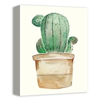 Little Potted Cactus 11" x 14" Canvas Wall Art