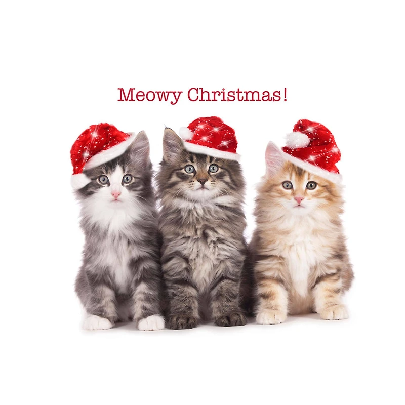 JAM Paper Season's Greetings Holiday Cat Assortment Cards Set, 25ct.