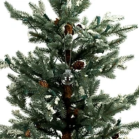 1.75" DIY Clear Plastic Ball Ornaments, 16pc. by Make Market®