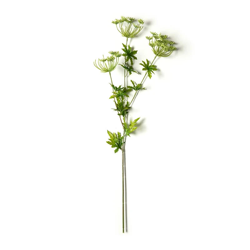 12 Pack: Light Green Queen Anne's Lace Spray by Ashland®