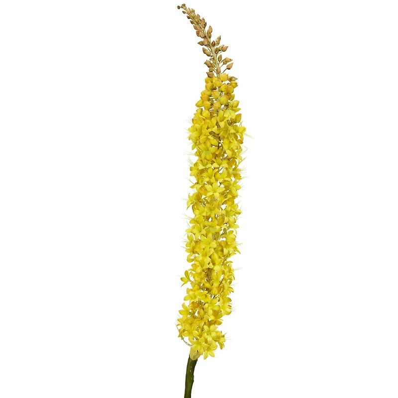 Yellow Foxtail Stem, 3ct.