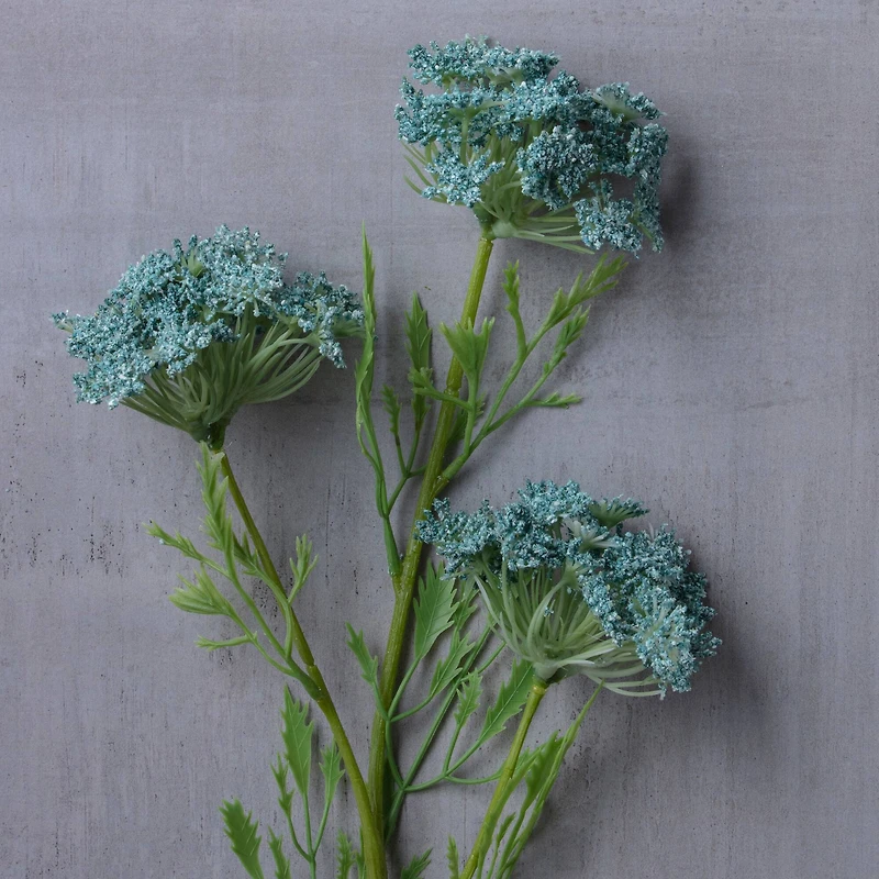 Blue Queen Anne's Lace Stem by Ashland®
