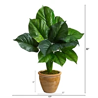 2.5ft. Large Philodendron Leaf Plant in Decorative Planter