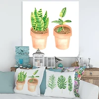 Designart - Sansevieria & Ficus Indoor Green Home House Plants