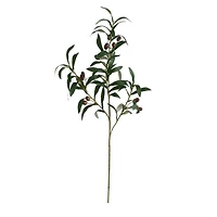 28" Olive Branch Stems, 3ct.