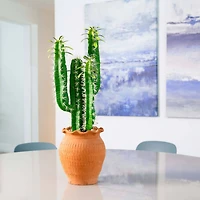 2ft. Cactus in Terracotta Planter