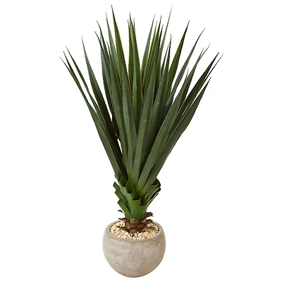 4.5ft. Spiked Agave in Sand Colored Bowl