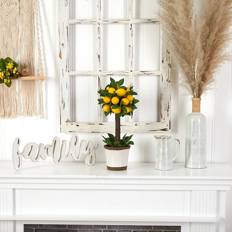 18" Potted Lemon Ball Topiary Arrangement 