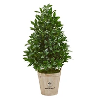 3.5ft. UV Resistant Bay Leaf Cone Topiary Tree in Farmhouse Planter