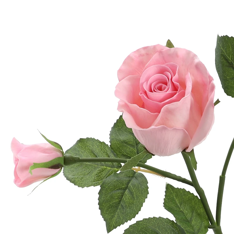 6 Pack: Blush Rose Spray by Ashland®