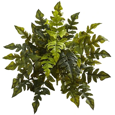 24in. Holly Fern Plant, 2ct.