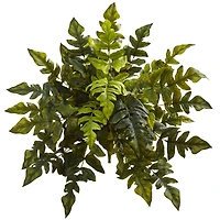 24in. Holly Fern Plant, 2ct.