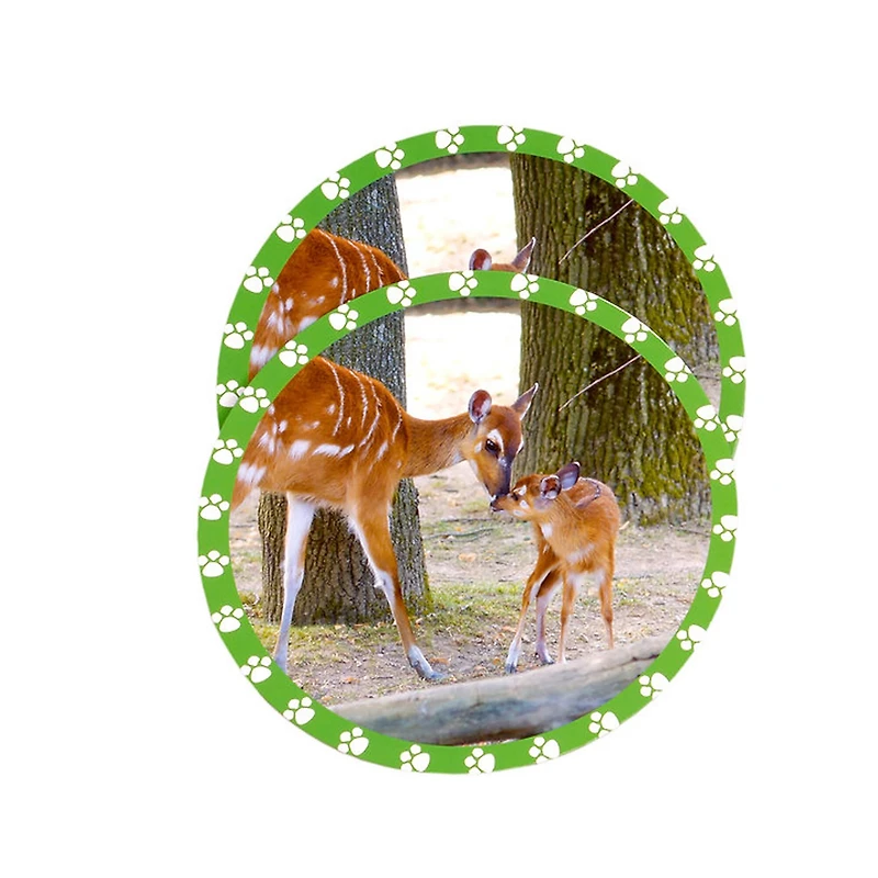 MOJO Seek & Peek Mommy & Me Memory Match