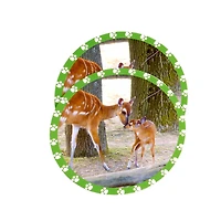 MOJO Seek & Peek Mommy & Me Memory Match