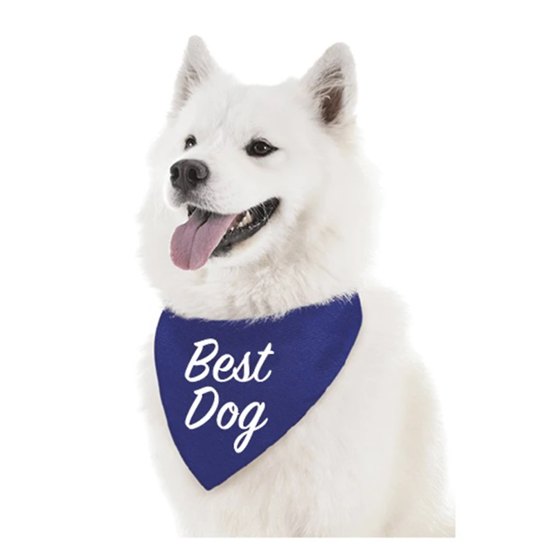 Pet Bandana by ArtMinds™