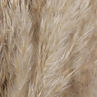 Dried Natural Pampas Grass, 6ct.