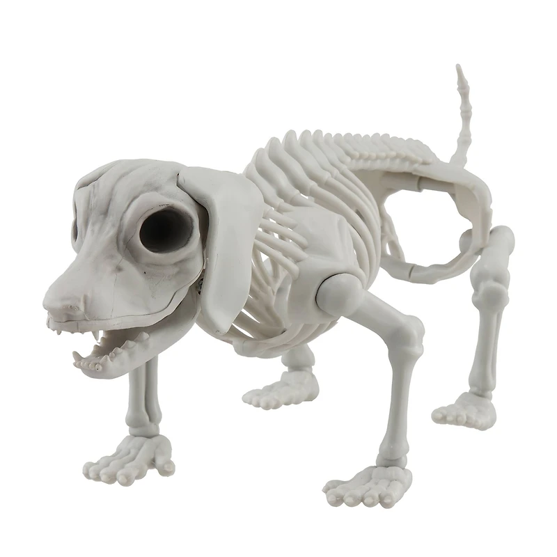 12.5" Dog Skeleton by Ashland®