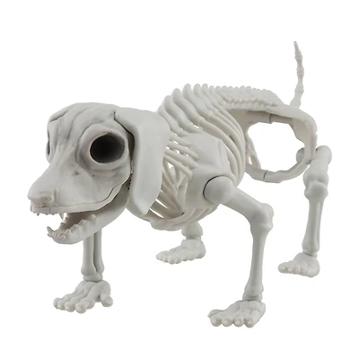 12.5" Dog Skeleton by Ashland®