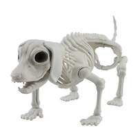 12.5" Dog Skeleton by Ashland®
