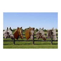 Horse Stickers by Recollections™