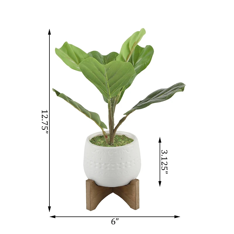 Flora Bunda® 12" Fiddle In 3.5" Mayan Ceramic Pot On Stand