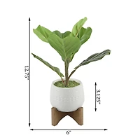 Flora Bunda® 12" Fiddle In 3.5" Mayan Ceramic Pot On Stand