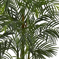 5ft. Areca Palm Tree in White Planter